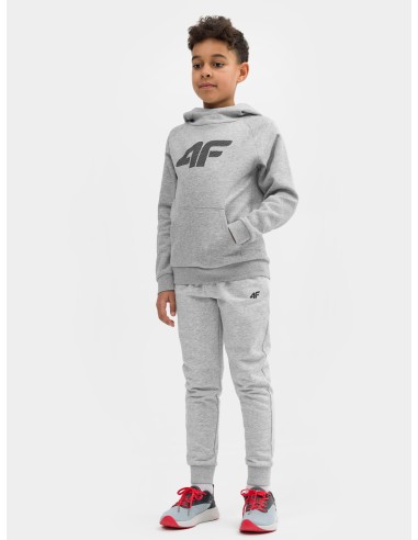 Sweatshirt 4F Jr 4FJSS23TSWSM220 cool light gray