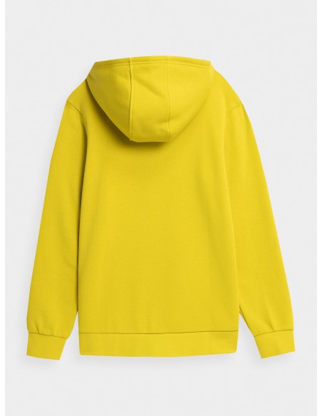 Sweatshirt 4F M H4Z22-BLM023-72S Gold