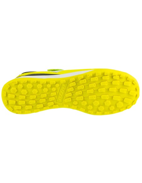 Lotto Kobato T 2601520T2411