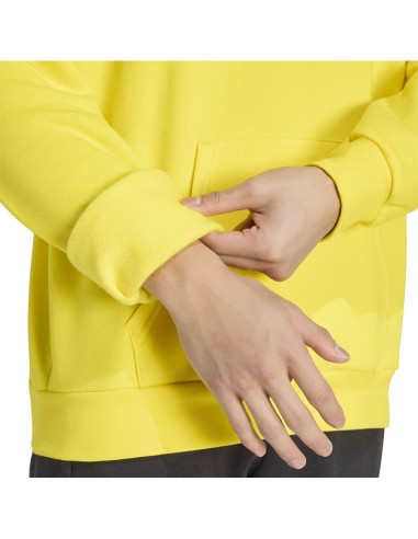 Adidas ENTRADA 26 Hoody JZ6584 sweatshirt