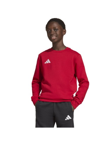 Adidas ENTRADA 26 Sweat Top Junior JZ6556 sweatshirt
