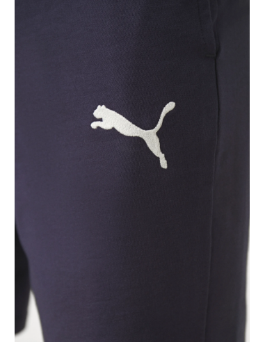 Puma teamGOAL Casuals M shorts 658608 06