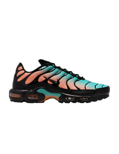 Nike Air Max Plus South Beach DM0032022 MBS
