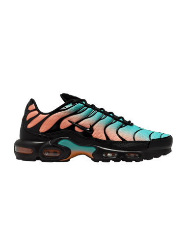 Nike Air Max Plus South Beach DM0032022 MBS