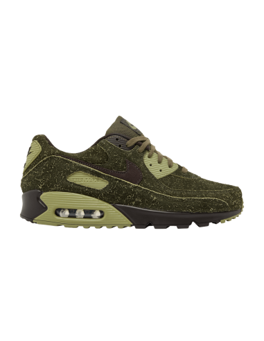 Nike Air Max 90 Premium Skunk HV6663300 MBS