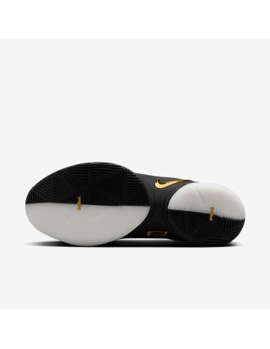 Nike LeBron 22 Mogul HV8454100 MBS