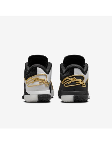 Nike LeBron 22 Mogul HV8454100 MBS