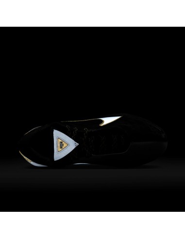 Nike LeBron 22 Mogul HV8454100 MBS