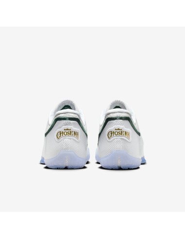 Nike LeBron 23 From This Point Forward HJ5629101 MBS