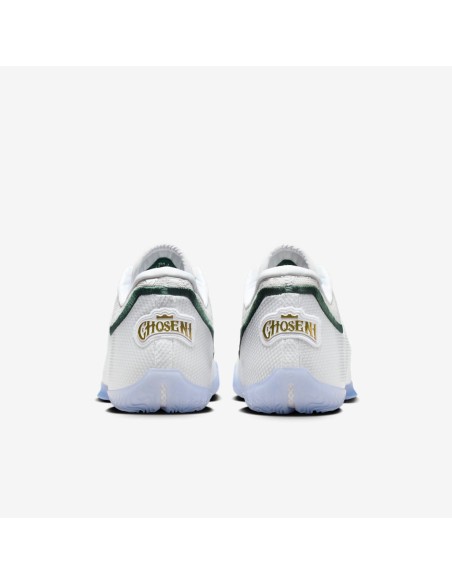 Nike LeBron 23 From This Point Forward HJ5629101 MBS