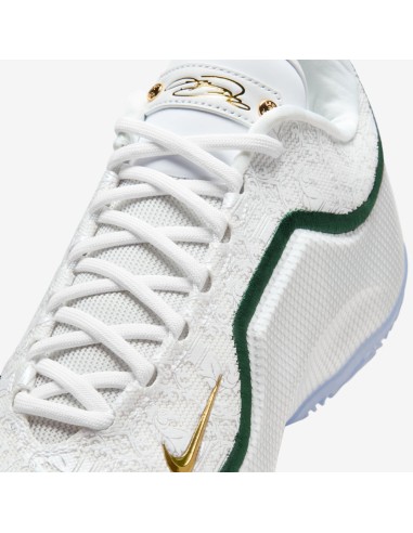 Nike LeBron 23 From This Point Forward HJ5629101 MBS