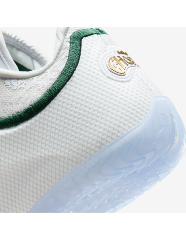 Nike LeBron 23 From This Point Forward HJ5629101 MBS