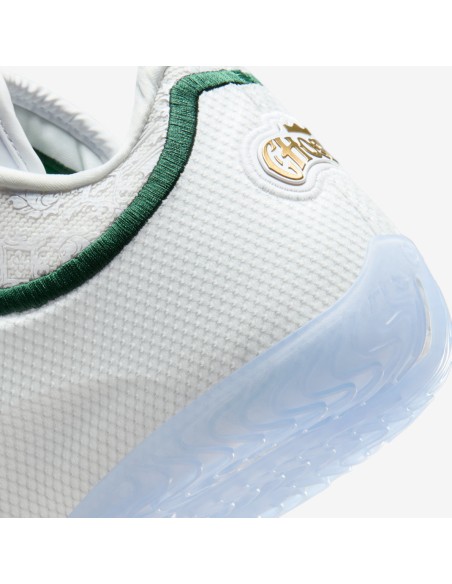 Nike LeBron 23 From This Point Forward HJ5629101 MBS