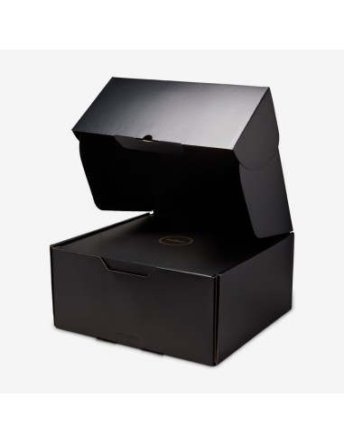 Nike LeBron 23 From This Point Forward HJ5629101 MBS