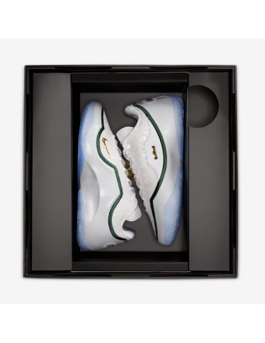 Nike LeBron 23 From This Point Forward HJ5629101 MBS