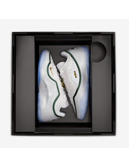 Nike LeBron 23 From This Point Forward HJ5629101 MBS