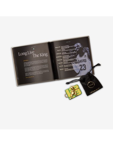 Nike LeBron 23 From This Point Forward HJ5629101 MBS