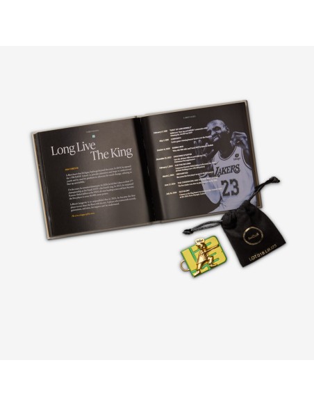 Nike LeBron 23 From This Point Forward HJ5629101 MBS