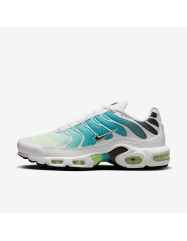 Nike Air Max Plus Dusty Cactus Barely Volt Women's DZ3670102 MBS
