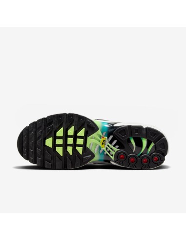 Nike Air Max Plus Dusty Cactus Barely Volt Women's DZ3670102 MBS