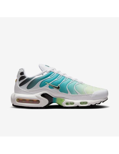 Nike Air Max Plus Dusty Cactus Barely Volt Women's DZ3670102 MBS