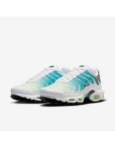 Nike Air Max Plus Dusty Cactus Barely Volt Women's DZ3670102 MBS