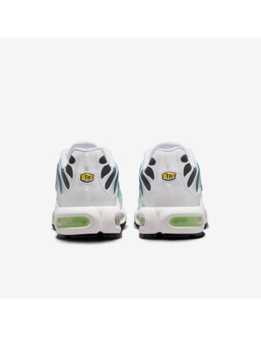 Nike Air Max Plus Dusty Cactus Barely Volt Women's DZ3670102 MBS