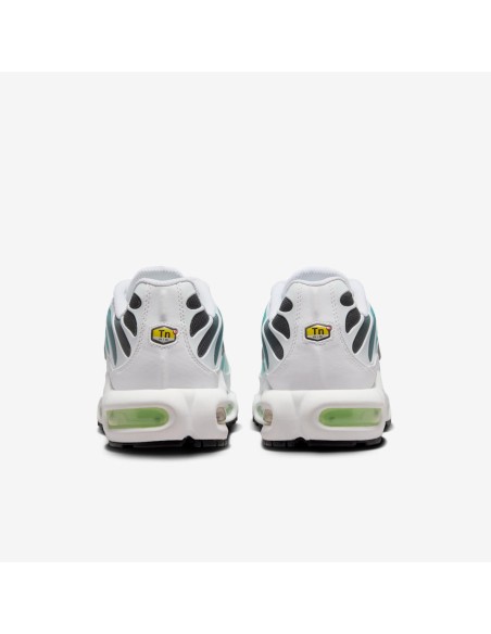 Nike Air Max Plus Dusty Cactus Barely Volt Women's DZ3670102 MBS