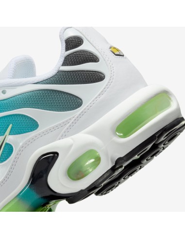 Nike Air Max Plus Dusty Cactus Barely Volt Women's DZ3670102 MBS