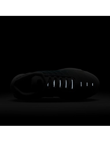 Nike Air Max Plus Dusty Cactus Barely Volt Women's DZ3670102 MBS