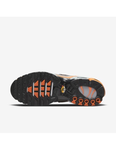 Nike Air Max Plus Grey Orange DM0032001 MBS