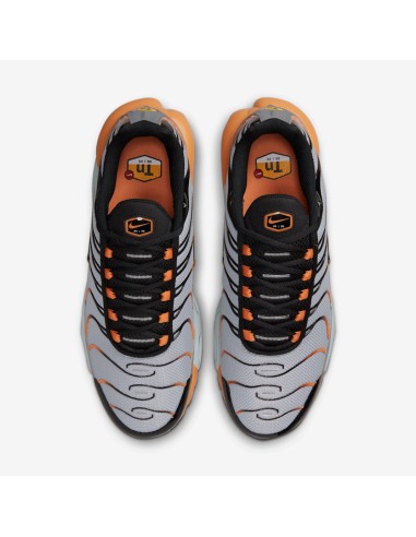 Nike Air Max Plus Grey Orange DM0032001 MBS