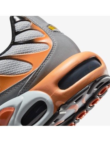 Nike Air Max Plus Grey Orange DM0032001 MBS