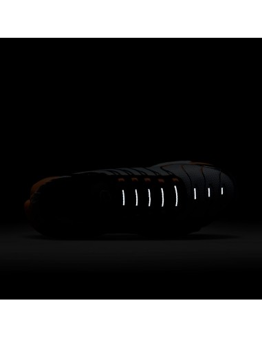 Nike Air Max Plus Grey Orange DM0032001 MBS