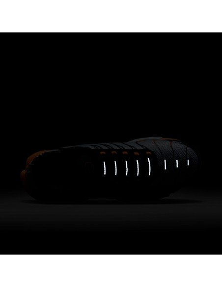 Nike Air Max Plus Grey Orange DM0032001 MBS