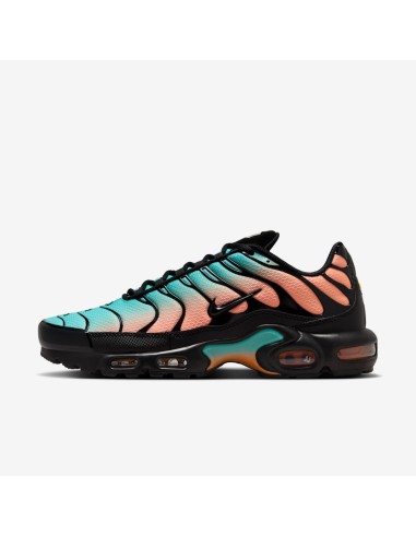 Nike Air Max Plus South Beach DM0032022 MBS