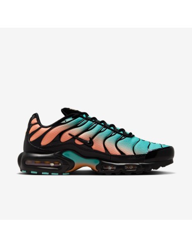 Nike Air Max Plus South Beach DM0032022 MBS