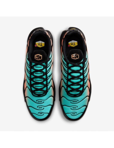 Nike Air Max Plus South Beach DM0032022 MBS