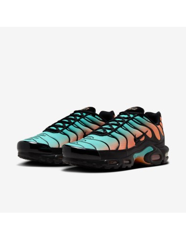 Nike Air Max Plus South Beach DM0032022 MBS