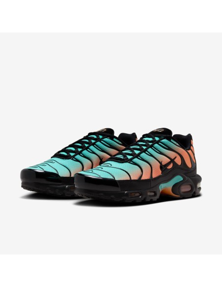 Nike Air Max Plus South Beach DM0032022 MBS