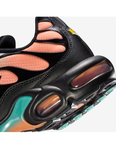 Nike Air Max Plus South Beach DM0032022 MBS