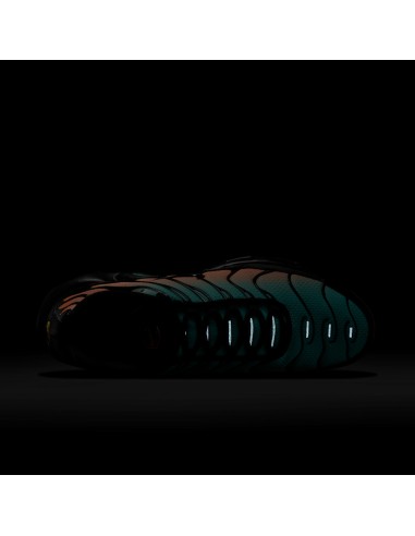 Nike Air Max Plus South Beach DM0032022 MBS