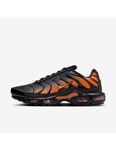 Nike Air Max Plus 'Black Total Orange' DM0032025 MBS
