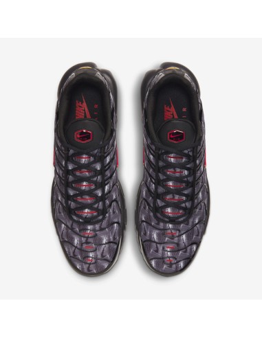 Nike Air Max Plus Topography Pack DJ0638001 MBS