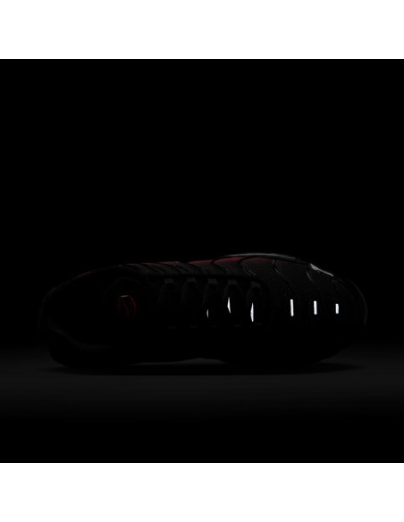 Air Max Plus 'Black Light Crimson' DM0032021 MBS