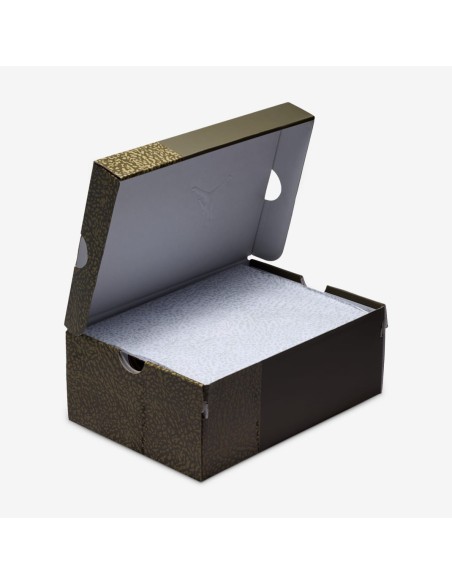 Jordan 3 Retro Family Affair GS DM0967202 MBS