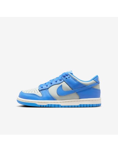 Nike Dunk Low Light Silver Sail Light Photo Blue GS FB9109004 MBS