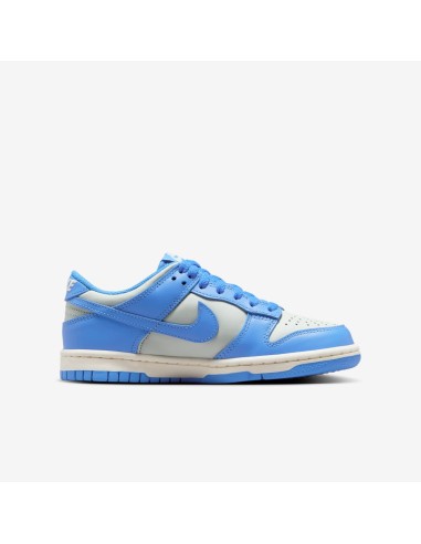 Nike Dunk Low Light Silver Sail Light Photo Blue GS FB9109004 MBS