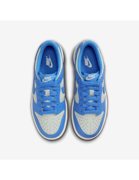 Nike Dunk Low Light Silver Sail Light Photo Blue GS FB9109004 MBS