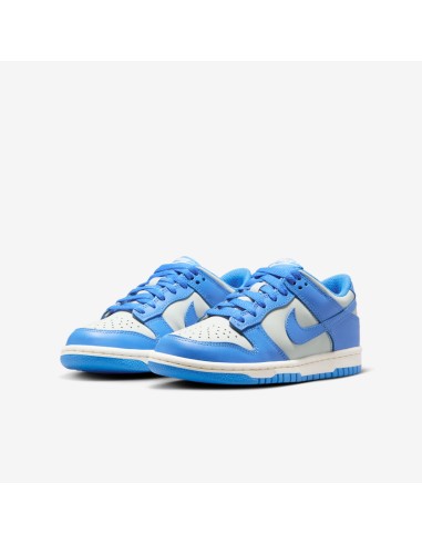Nike Dunk Low Light Silver Sail Light Photo Blue GS FB9109004 MBS